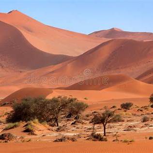 Glissez sur une Dune de Sable Rouge (Namibie)
